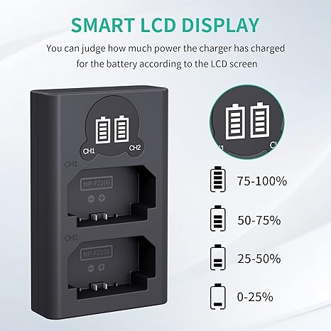 Caisi Dual USB Charger for Sony NP-FZ100 Battery