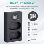 Caisi Dual USB Charger for Sony NP-FZ100 Battery