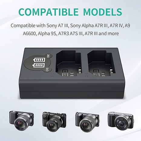 Caisi Dual USB Charger for Sony NP-FZ100 Battery