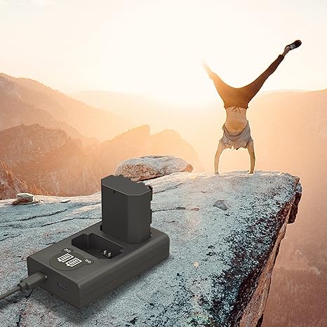 Caisi Dual USB Charger for Sony NP-FZ100 Battery